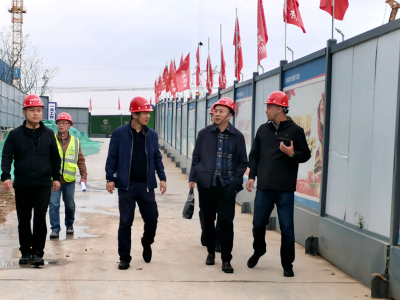 建工控股黨委委員、紀委書記、監(jiān)察專員王汪苗到桃花科創(chuàng)產業(yè)園項目調研督導工作3