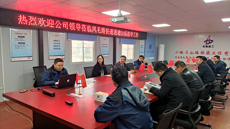 公司黨委副書記、工會主席王勝利到鳳毛快速通道01標檢查指導工作