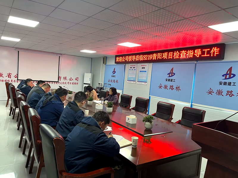 公司黨委委員、紀委書記王鵬到S219青陽改建項目調研指導工作